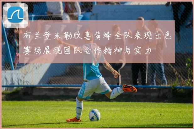 布兰登米勒欣喜黄蜂全队表现出色赛场展现团队合作精神与实力
